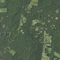 85-year-old male mumbling near Fillmore Road
