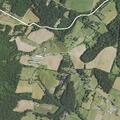 Report of stolen black Angus cattle at farm