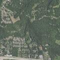 Theft reported at home on Wisdom Lane