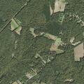 Person experiencing allergic reaction at Annapolis Woods Road
