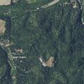 Small tree cleared from roadway near Guerneville