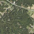 Injured deer reported in driveway on Blackberry Lane