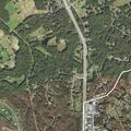 Person with eye cut after fall near Three Notch Rd