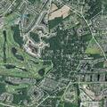 Person fallen near Tulip Poplar Turn, Ocean View
