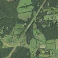 Car hits deer; driver reports stomach pain