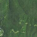 73-year-old falls with possible broken ribs in Valley Head