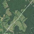 Loose cow reported in roadway on Slate Mills Road