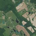 Person experiencing abdominal pain near Henryville