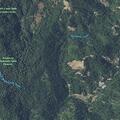 Tree blocking Armstrong Woods Road in Guerneville
