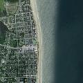 Injured seagull reported on Bethany Beach