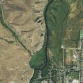 Report of two loose dogs on County Road 17