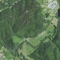Tree blocking road on State Route 7 cleared