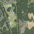 Female conscious after fall near Red Cedar Road