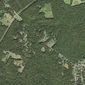 Report of downed tree and possible downed wire