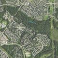 21-year-old female with rapid heart rate at Oak Tree Lane