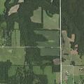 Person experiencing chest pain in Rantoul