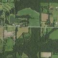 Tree blocking roadway on West 295th Street