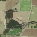 Elderly man with dementia found after fall in ditch