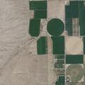 Male fallen from chair near Monroe