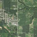 Arrest on domestic battery warrant at trailer park