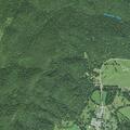 63-year-old woman reported sick in Brandywine