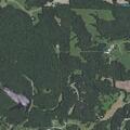 Possible male falling or fleeing near Treeline Ridge