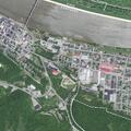 Older woman falls near Forest Avenue in Maysville