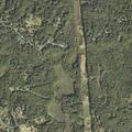 Person with back pain near Greenvalley Drive