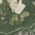 Report of yellow dirt bike riding in neighborhood