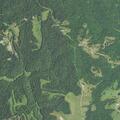 Unresponsive middle-aged man possibly overdosed in home