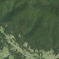 Possible intruder reported at rural residence