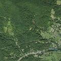 25-year-old woman unconscious with chest pain in Sperryville