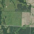 Grass fire spreading toward wood pile and trees
