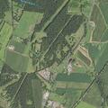 Cow loose near Catlett Road residence
