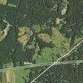 Large tree blocks Weaver Road near Battle Mountain