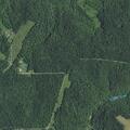 Man found dead from gunshot at rural residence