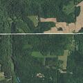 Downed power lines blocking curve on rural road