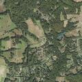 Person with back pain near Chaneyville Road