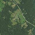 Tree blocking roadway on Battle Mountain Road