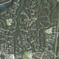 68-year-old woman feeling faint at Stoneford Drive