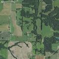 Unconscious minor receives CPR near State Highway AA