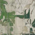 Female 26 dizzy and lightheaded near 2055 Lane