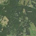 69-year-old woman with foot pain in Nokesville