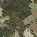 Person having a seizure near Jones Lane and Poplar Neck Road