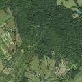 Loose cow reported on Fodderstack Road