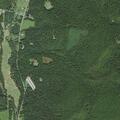 Large tree blocks both lanes on Brock Gap Road