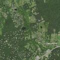 Elderly woman falls near old forest lane in Warrenton