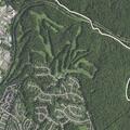 Woman found not breathing in park with firearm nearby