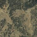 Son threatens arson and self-harm at Four Mile Ranch