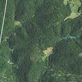 Man trapped under log with broken right leg rescued